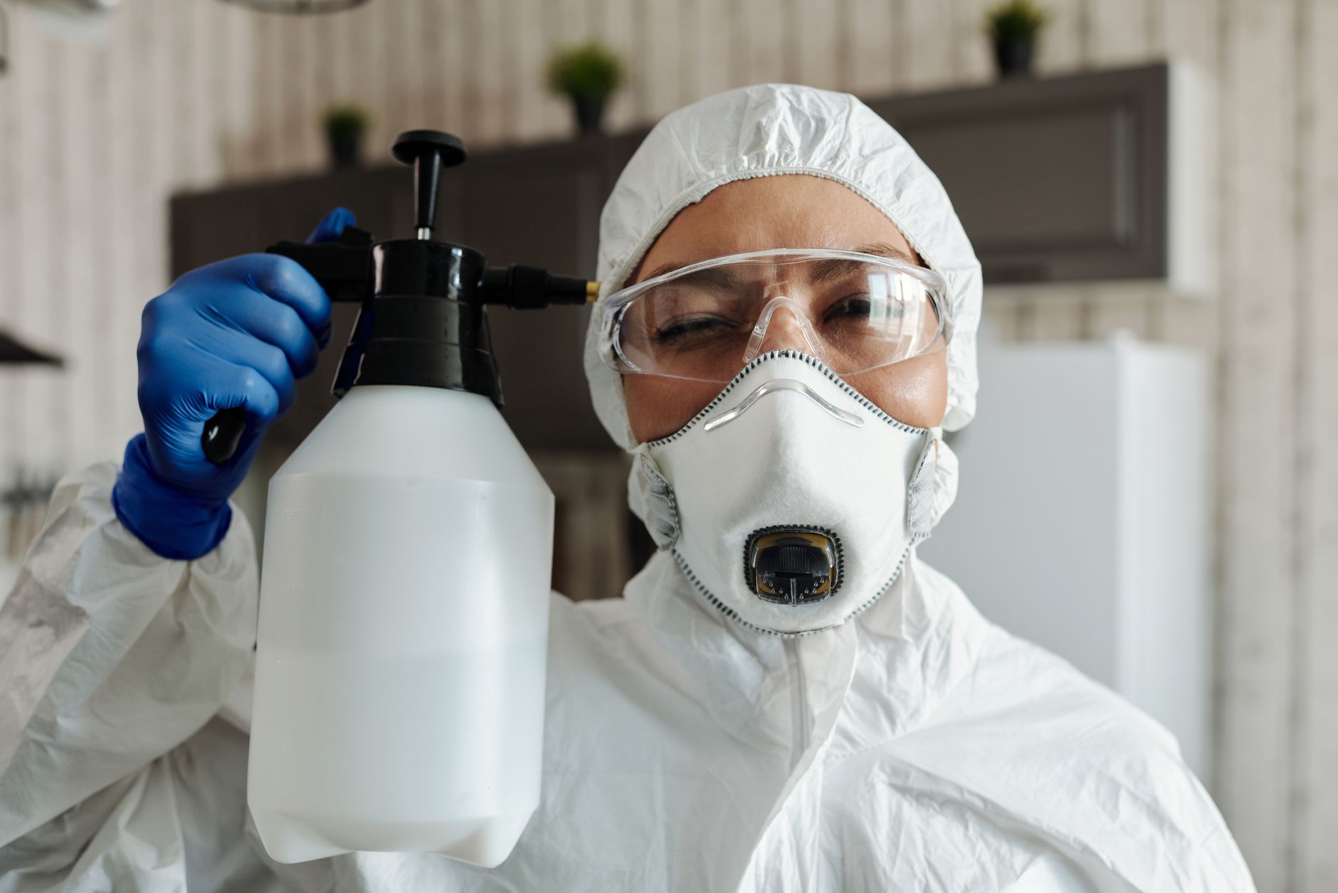 Ant & Roach Treatment – Temple