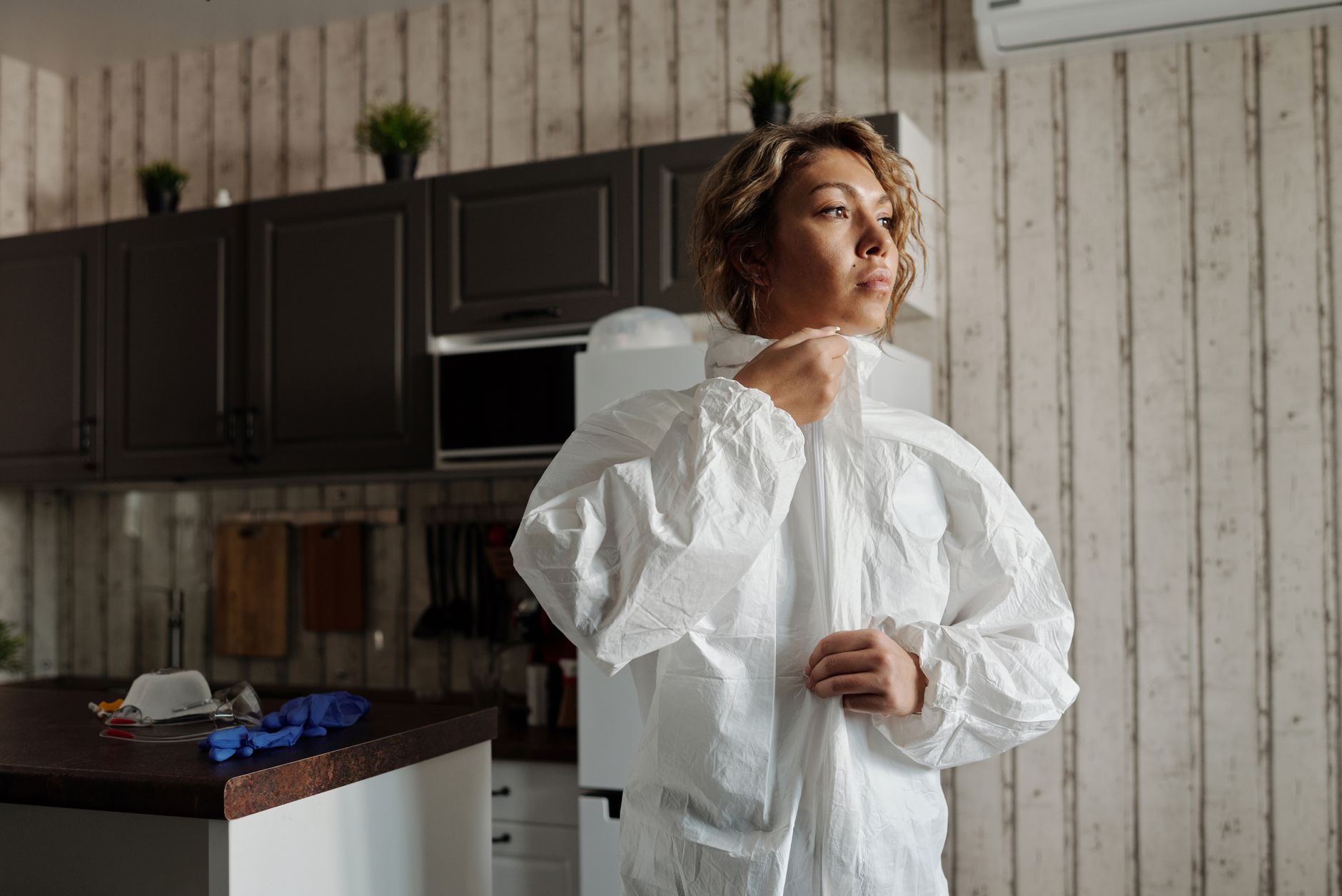 Wasp Nest Removal – Temple